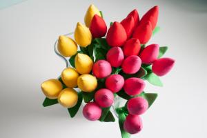Tulipany żółte, czerwone, amarant